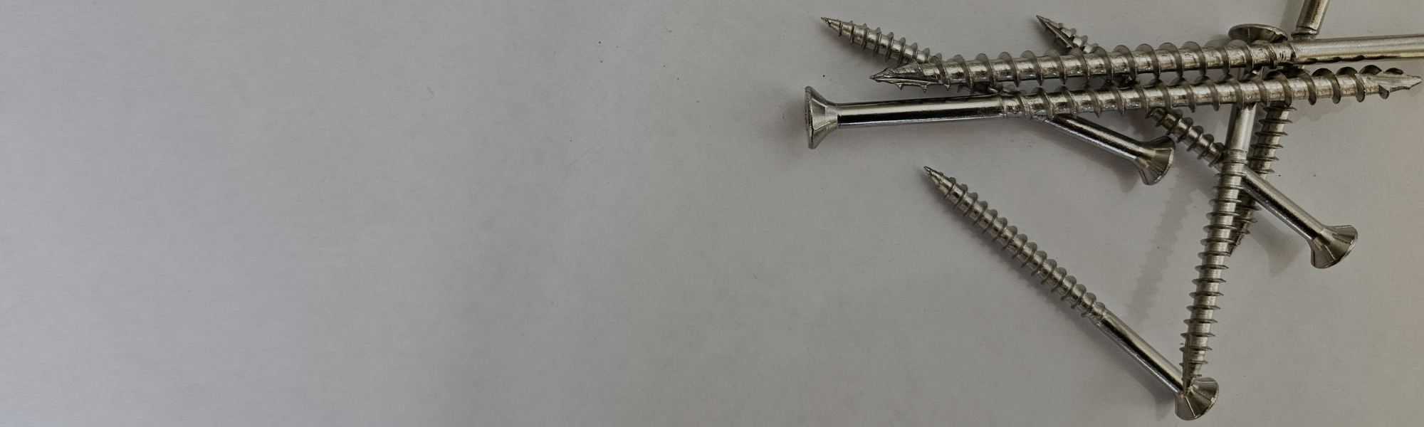 Stainless steel screws on white background