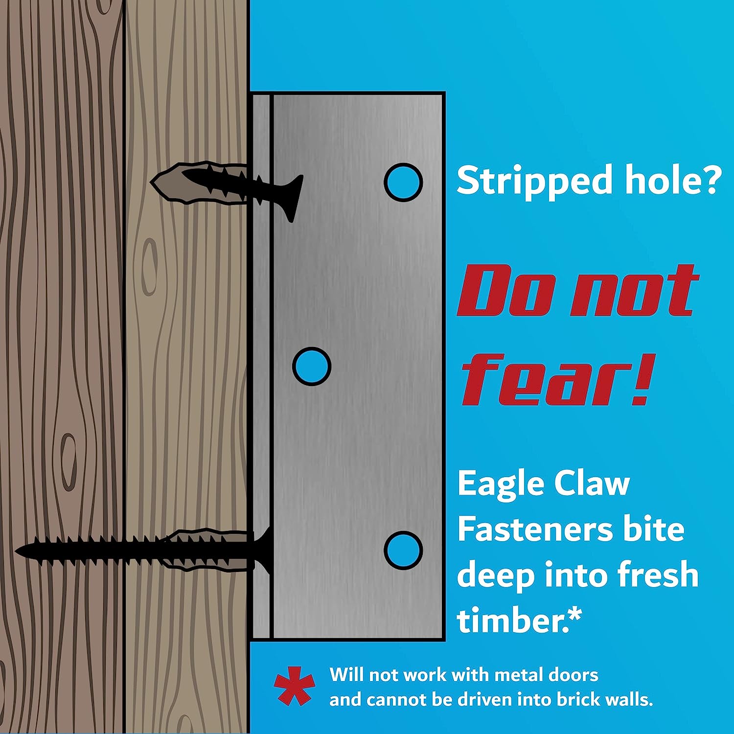door-hinge-repair-screws